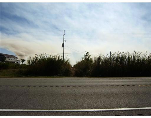 Photo.