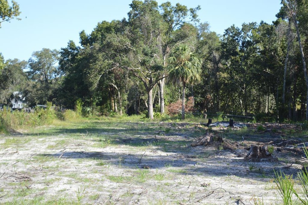 Inter. 2 5th St E, Steinhatchee, FL 32359 - photo 1