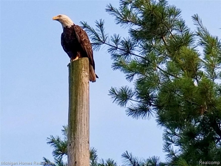 14037 Hogan Rd, Linden, MI 48451 - photo 1