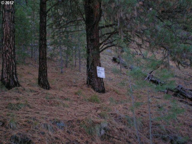 0 Center St unit 12580193, Granite, OR 97877 - photo 1