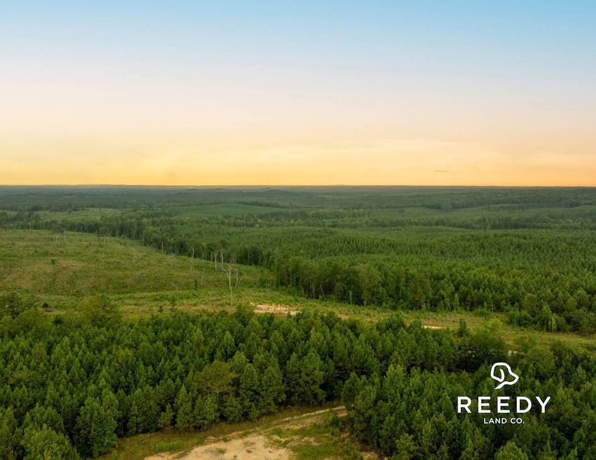 0 Camp Welfare Rd, Winnsboro, SC 29180 - photo 1