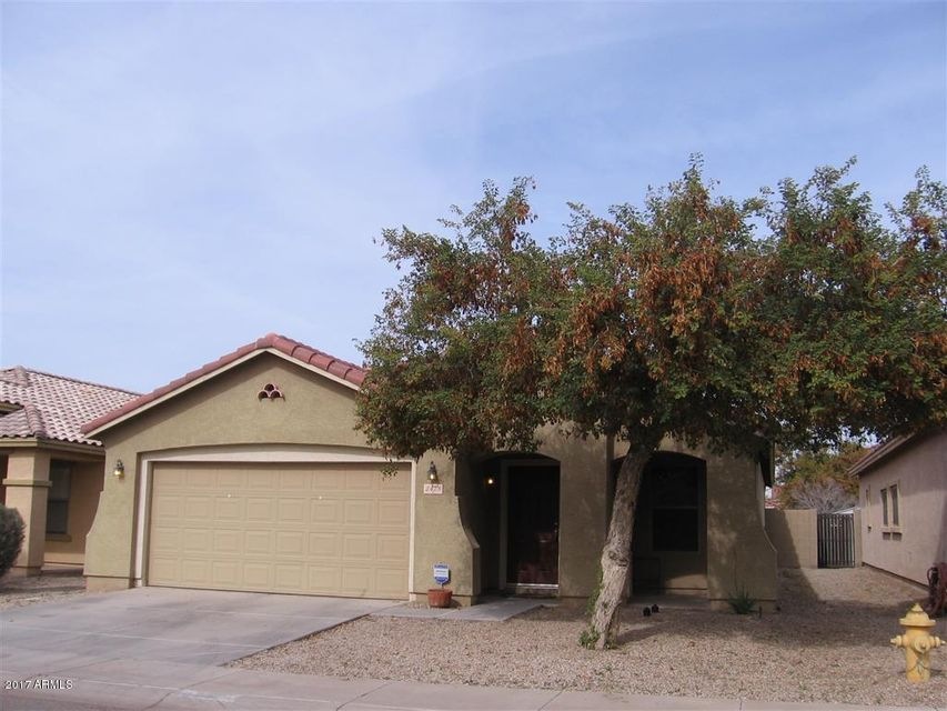 Mature Tree in Front