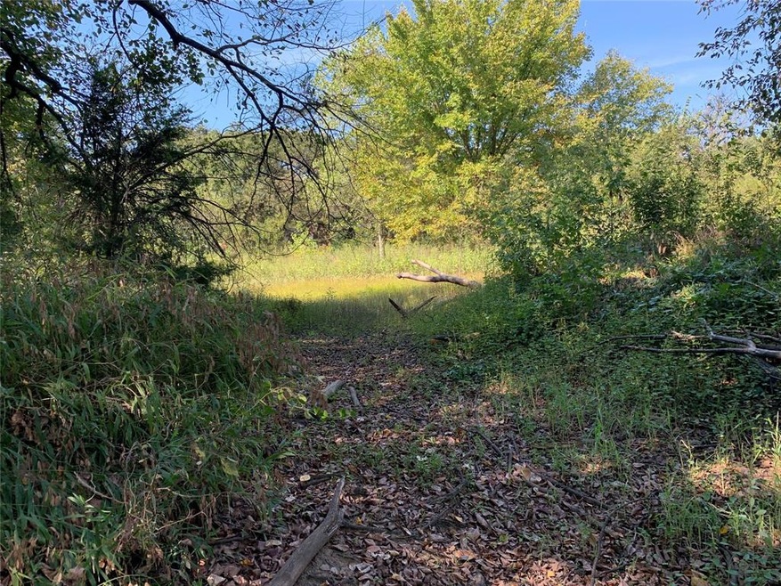 5515 County Road 805, Joshua, TX 76058 - photo 1