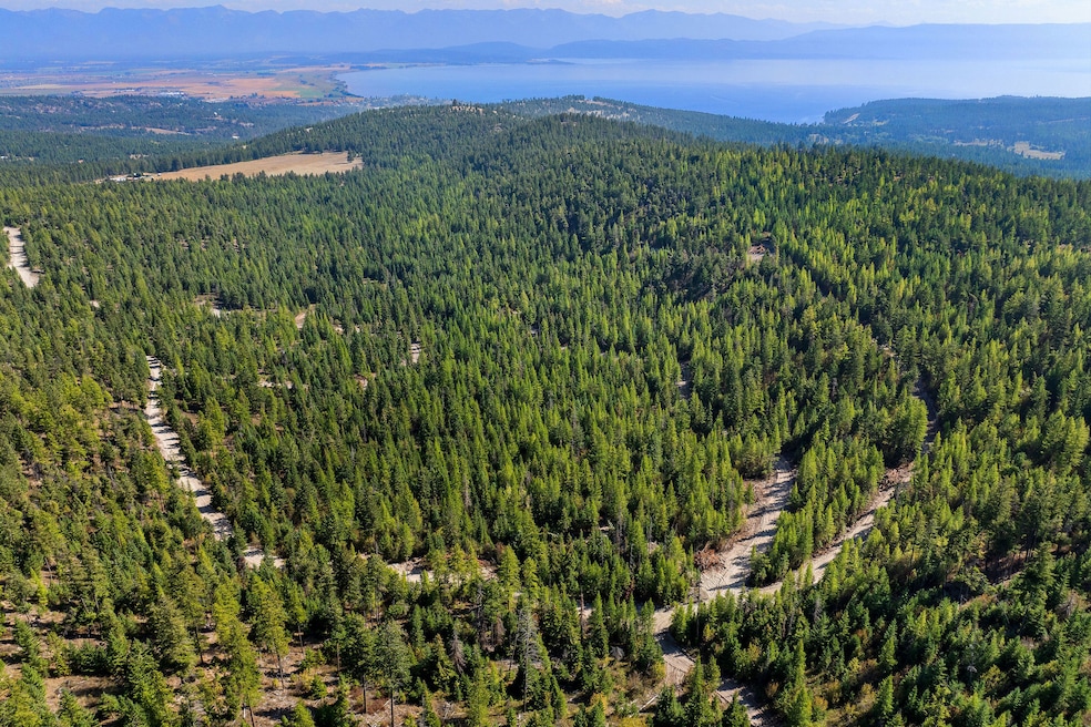 Panoramic views of Flathead Lake and mountains