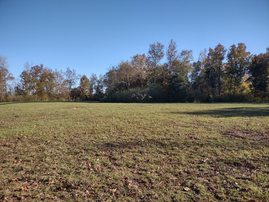 547 Horseshoe Bend Rd, Flatwoods, TN 37096 - photo 1