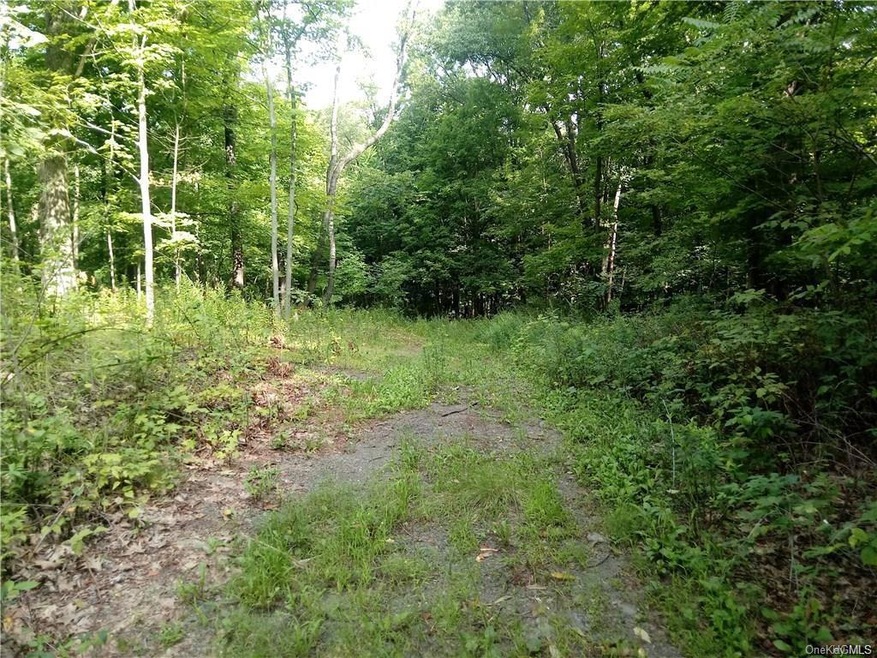 519 Budds Corners Rd, Red Hook, NY 12571 - photo 1