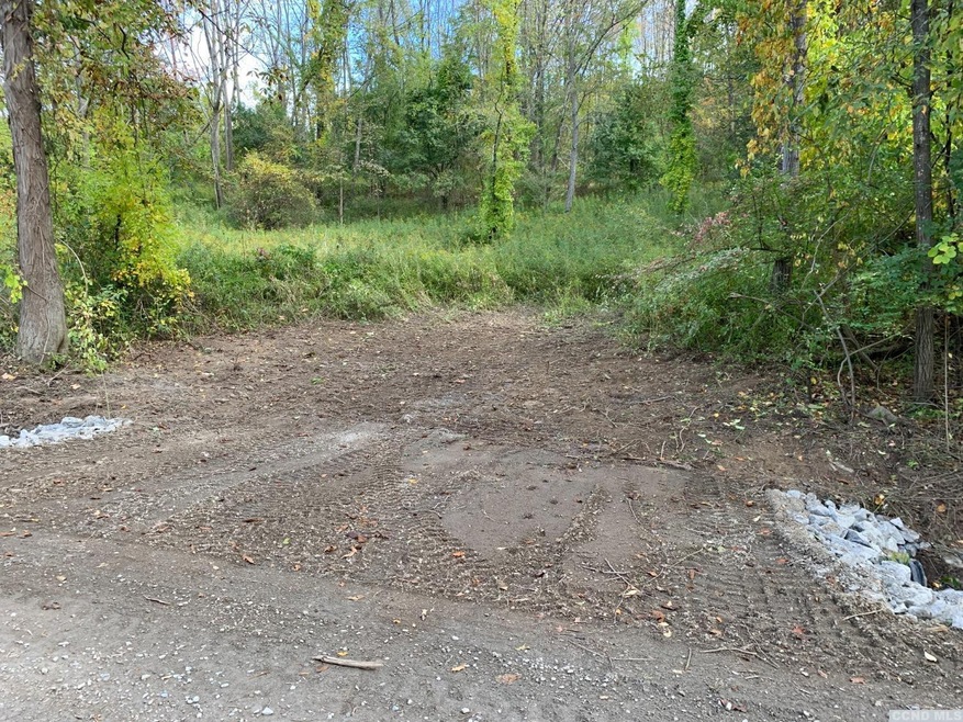 0 Goetz Rd, Canaan, NY 12060 - photo 1