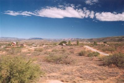 Primary Photo