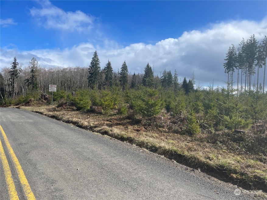 0 NA Hooper Rd, Longview, WA 98632 - photo 1