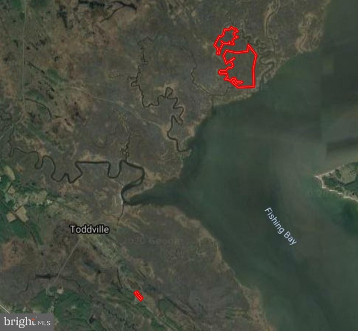 NE/S TODDVILLE ROAD Toddville Rd, Toddville, MD 21672 - photo 1