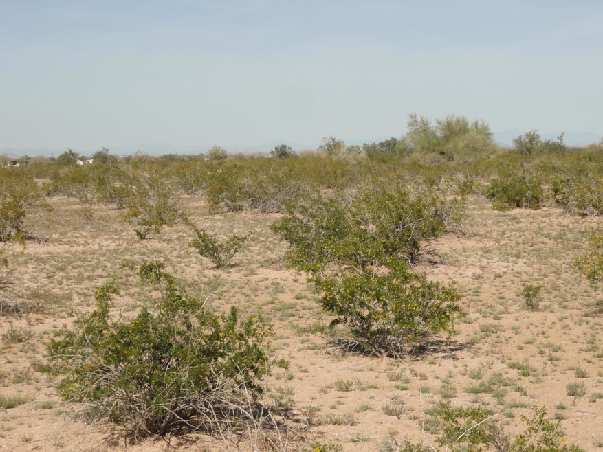 maricopa 025