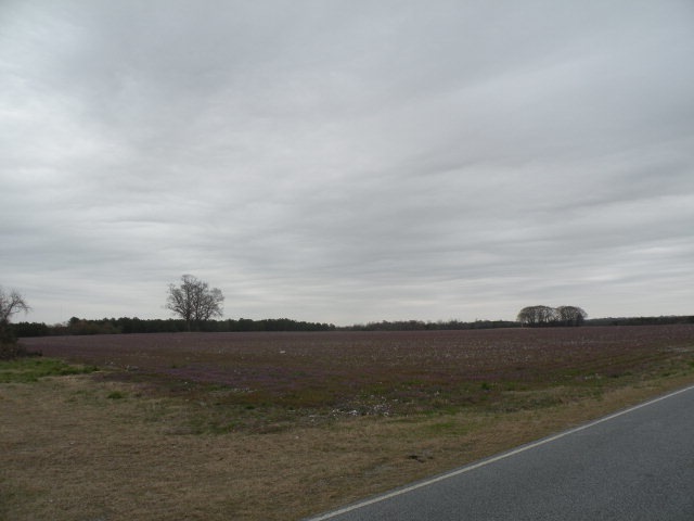 7338 Town Creek Rd, Elm City, NC 27822 - photo 1