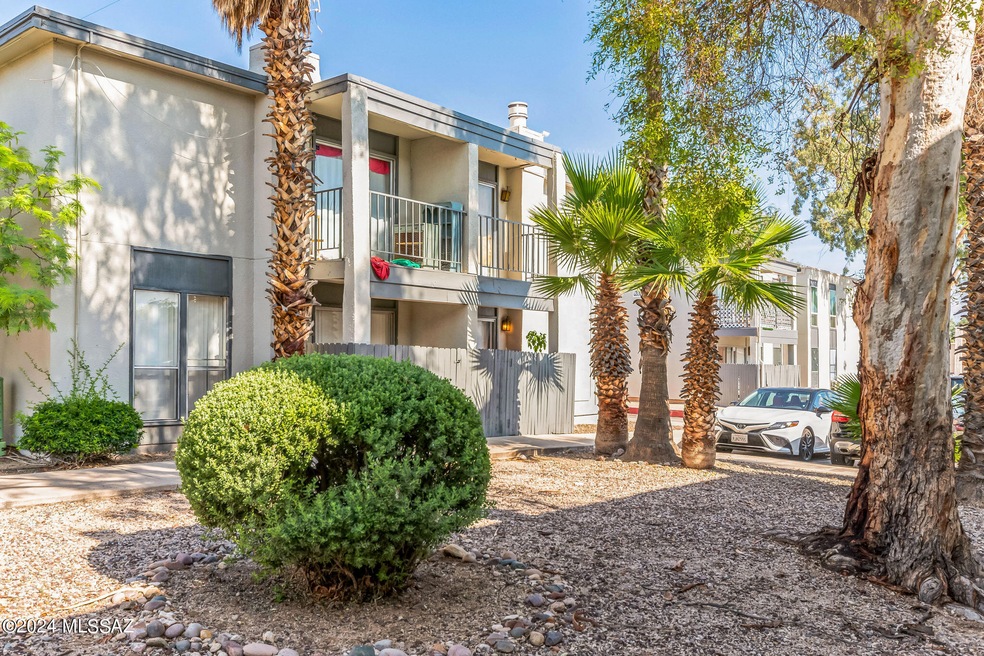 MAIN PHOTO 1620_N_Wilmot_Rd_unit_f123_Tu