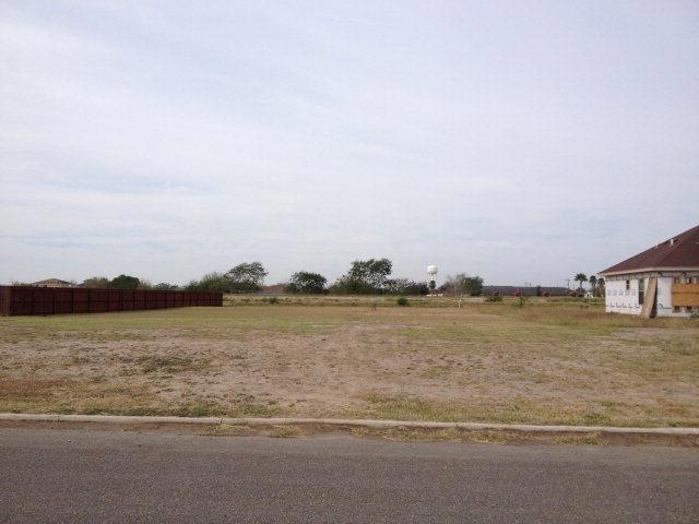 n/a White St, Donna, TX 78040 - photo 1