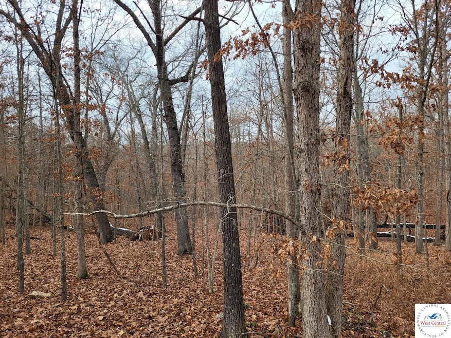 0 Dunn Dr unit Lot 1331, Edwards, MO 65326 - photo 1