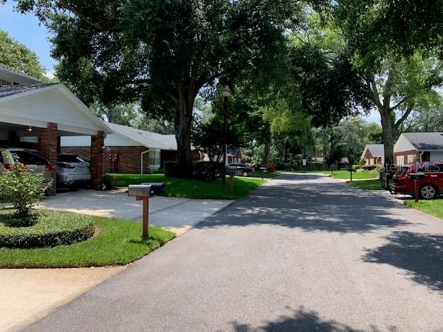 Tree lined street