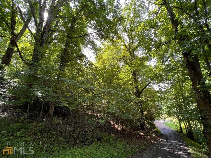 0 Seaboltville Rd, Dahlonega, GA 30533 - photo 1