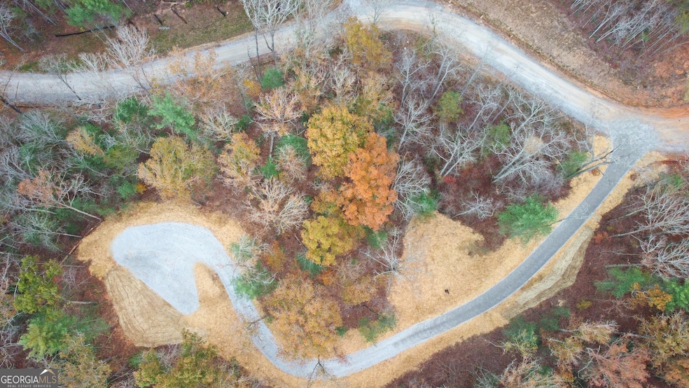 LOT 4 Mt Springer Rd, Ellijay, GA 30540 - photo 1