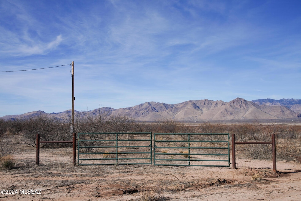 40.74 Acre N Dill Rd unit 302, San Simon, AZ 85632 - photo 1