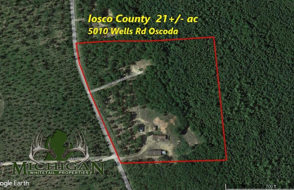 Sawmill 21 AC #2