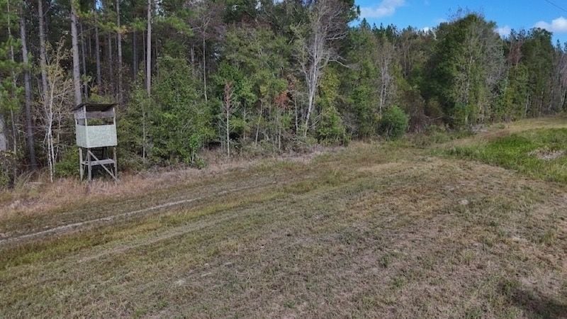 0 McDonald Rd, Lucedale, MS 39452 - photo 1