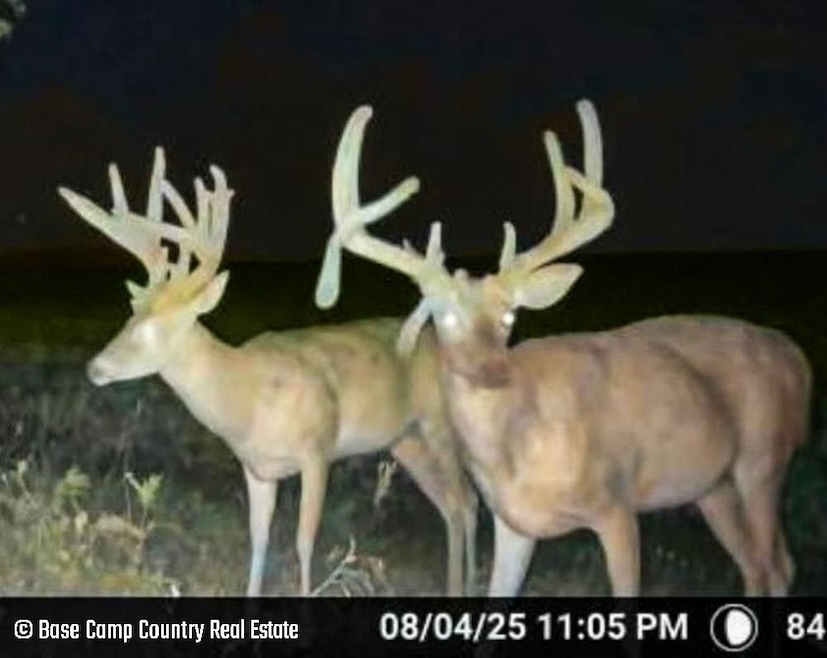 E E 30th St S, Wellington, KS 67152 - photo 1