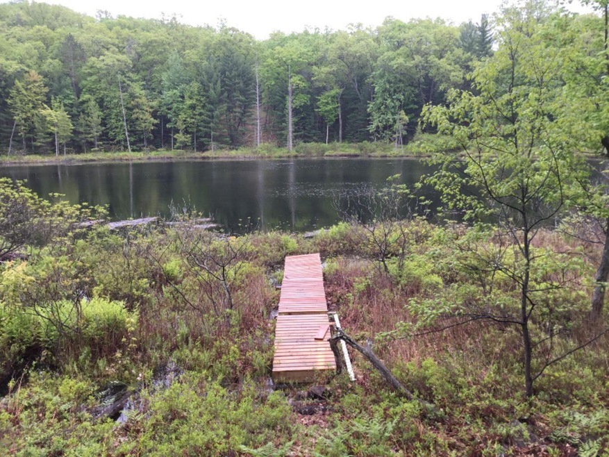 2090 W Calabash Ave, Merrill Township, MI 49309 - photo 1