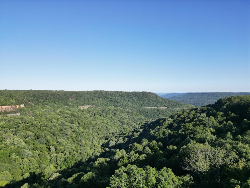 DJI_0443