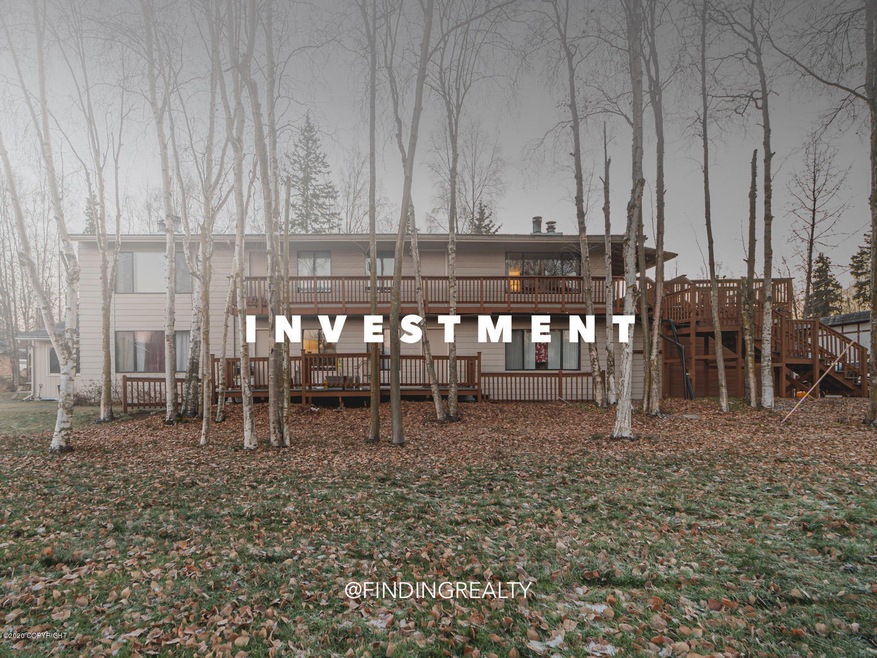 PRIMARY - INVESTMENT-1