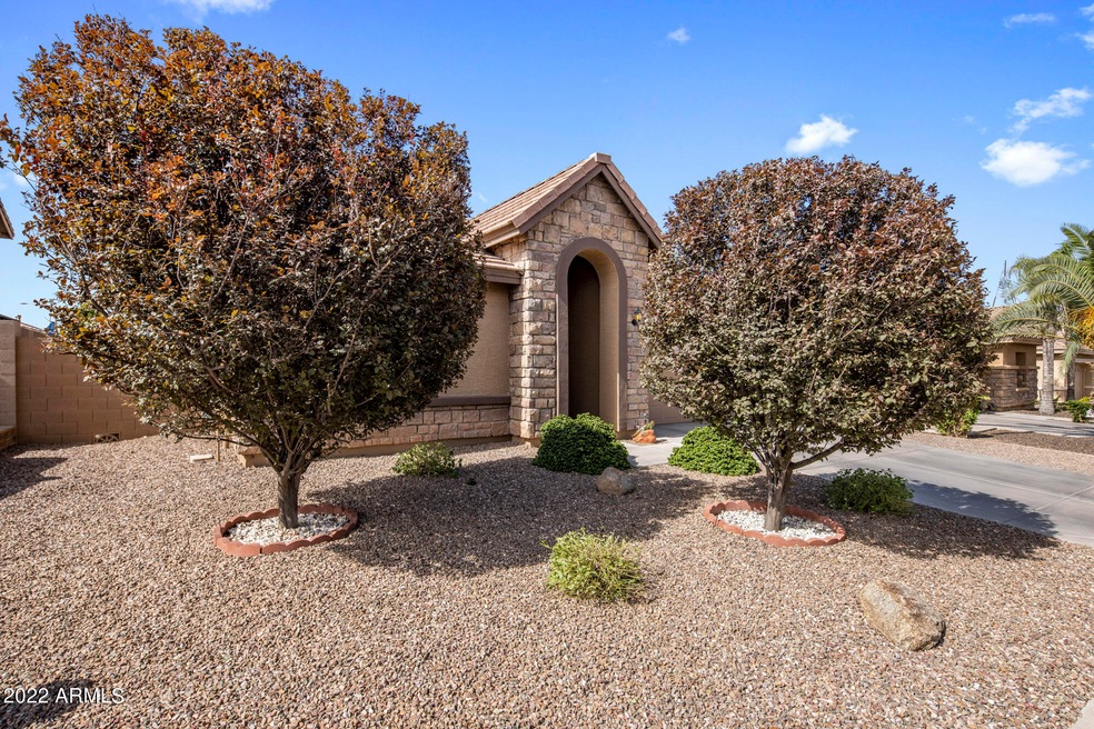 front yard