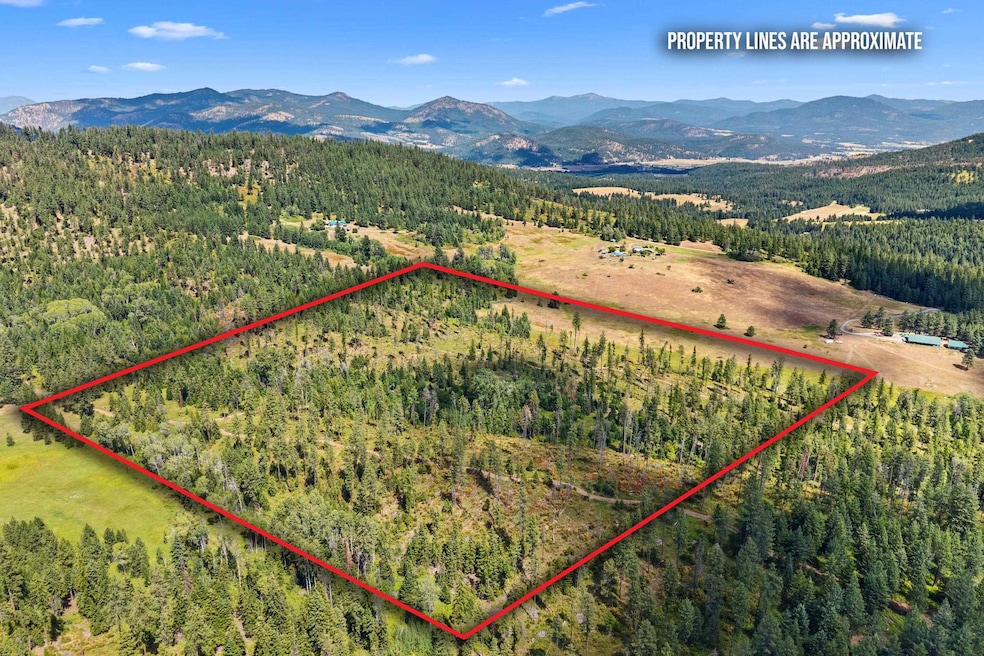 NNA Dry Creek Rd unit Lot 2, Chewelah, WA 99109 - photo 1