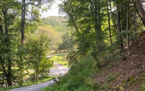 0 Spindrift Ct unit 310304, Ellijay, GA 30540 - photo 1