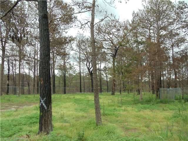 Land/Lot : Land view