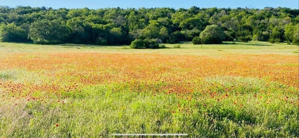 1471 Lutheran Church Ryatt Ranch Lot 4 Blk 1 Rd, Copperas Cove, TX 76522 - photo 1