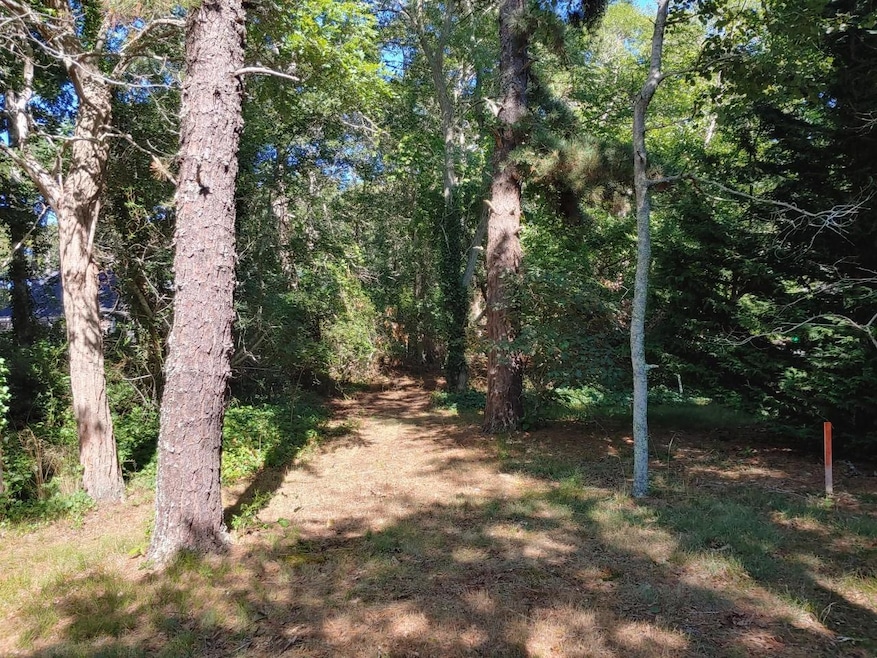 path 1