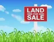 land