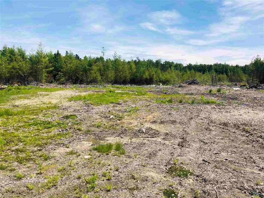 Lot 8 Forest View Dr, Effingham, NH 03882 - photo 1