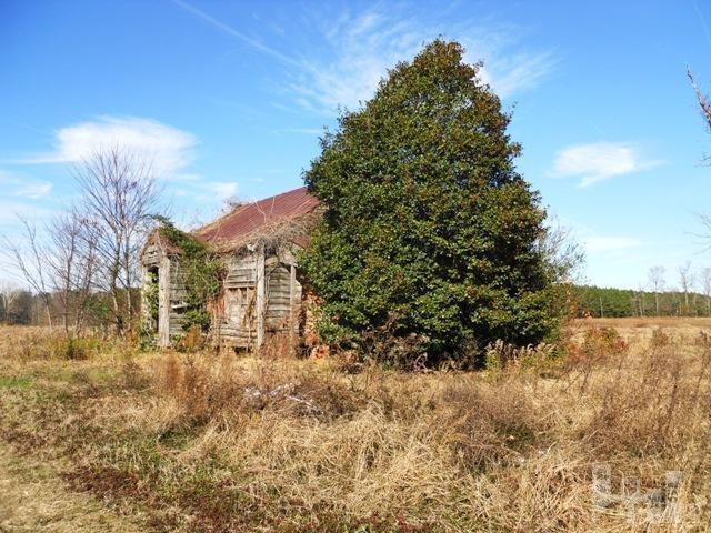 Primary Photo