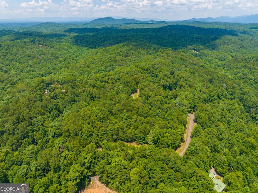 Lot 103R Mountain Creek Hollow Dr, Talking Rock, GA 30175 - photo 1