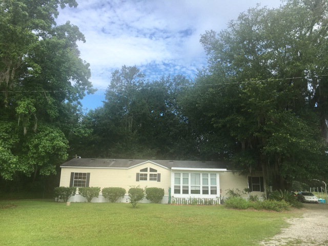 Main View