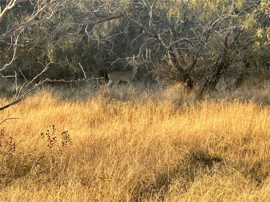 2112-C County Road 126, Gordon, TX 76453 - photo 1