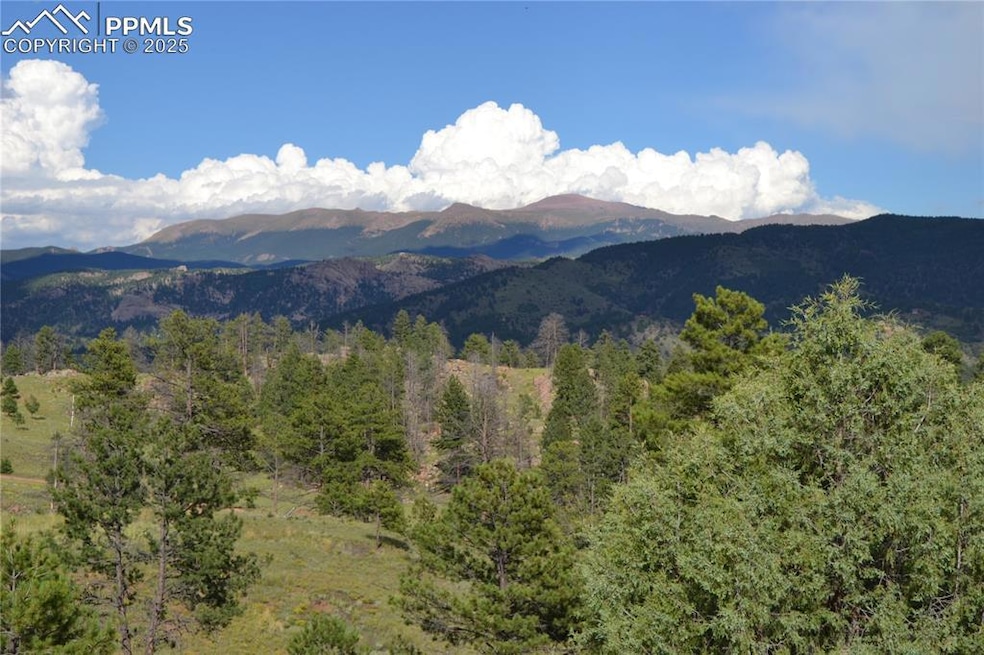 TBD Golden Eagle Heights, Florissant, CO 80816 - photo 1