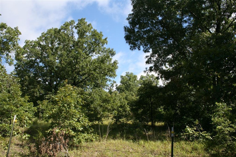 Woods