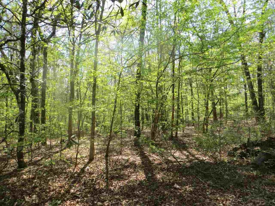 W Chucks Place, Tallahassee, FL 32309 - photo 1