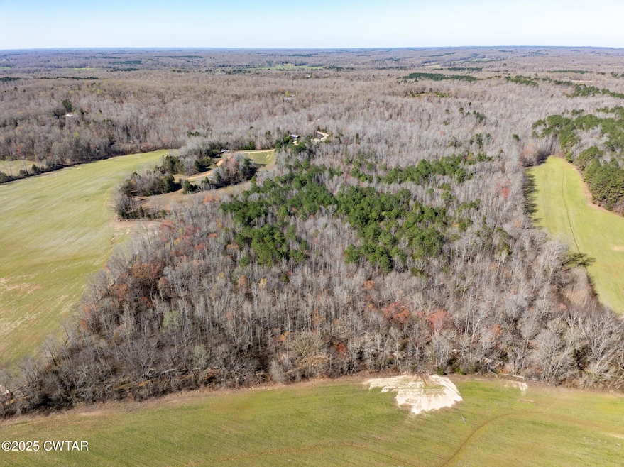 0 Chester Quinn Ln, Parsons, TN 38363 - photo 1