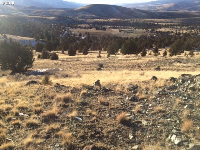 0 Eagle Peak Ln unit 18376374, Canyon City, OR 97820 - photo 1