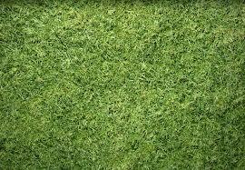 209 N Glade Ave, Elmhurst, IL 60126 - photo 1