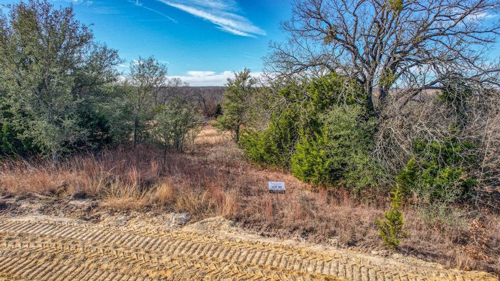 512 Hackamore Ct, Weatherford, TX 76088 - photo 1