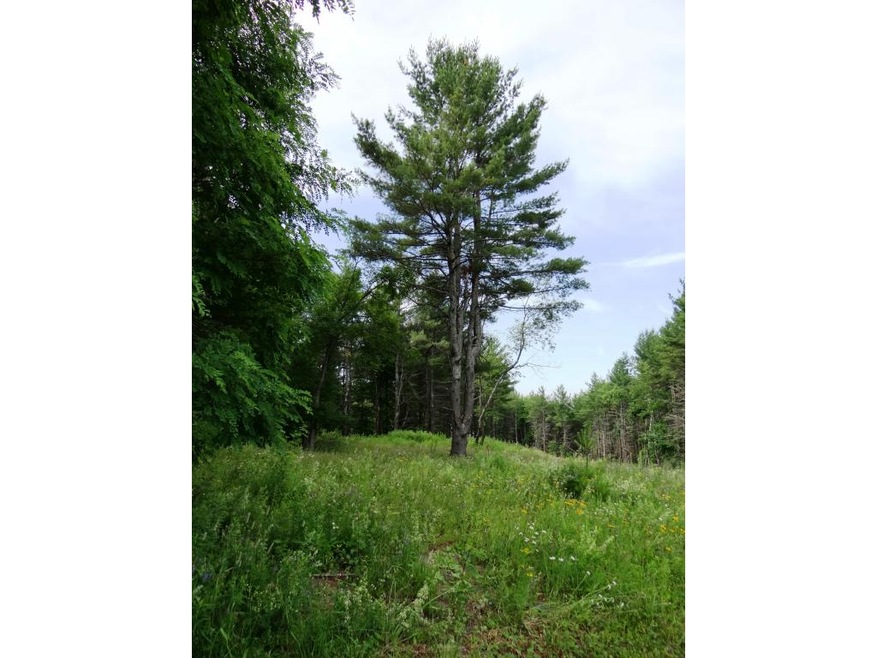 0 Baynes Rd unit 8 4779392, Plainfield, NH 03770 - photo 1