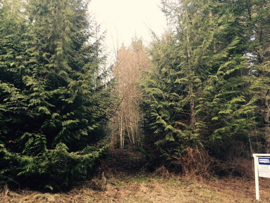 5185 Dabob Rd, Quilcene, WA 98376 - photo 1